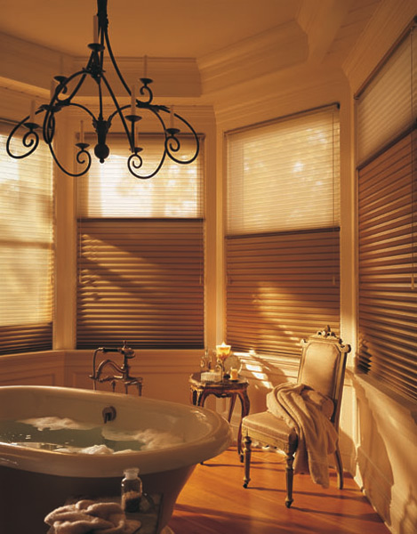 Alustra Duette window shadings blinds shades treatments bathroom Alustra® Window Fashions photo