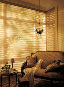 Alustra Silhouette window shadings premium window treatment fabric blind Alustra® Window Fashions photo