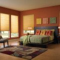 CELL-213m-SymOrngBRMotorHor Blinds & Shades photo