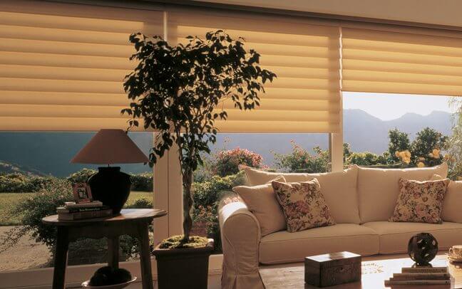 Vignette window shadings Roman Shade treatment blinds shades hunter douglas Roman Shades photo