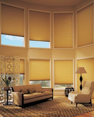  Duette® Honeycomb Shades photo