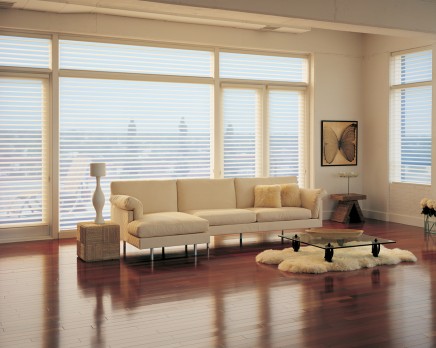 Silhouette preserves the view Silhouette® Window Shadings photo