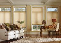 Duette Architella Honeycomb insulating Shades energy efficient photo