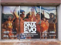 Insolroll printed shades solar screen glare heat protection advertising photo