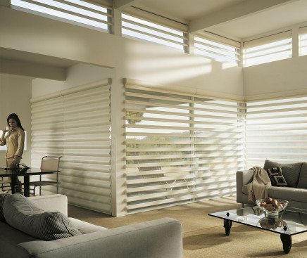 Pirouette Motorized Hunter Douglas