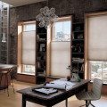 Duette honeycomb shades office