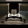 Duolite opaque vanes with blackout shade