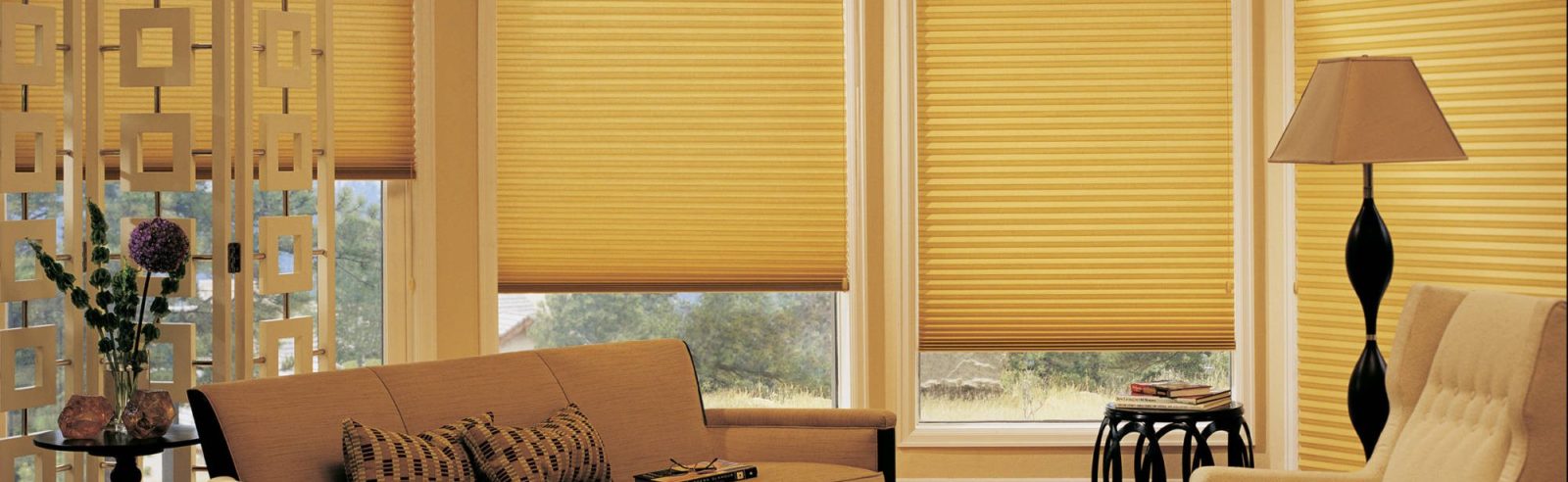 Duette honeycomb window shades living room