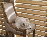 Pirouette window shadings with sunbeams