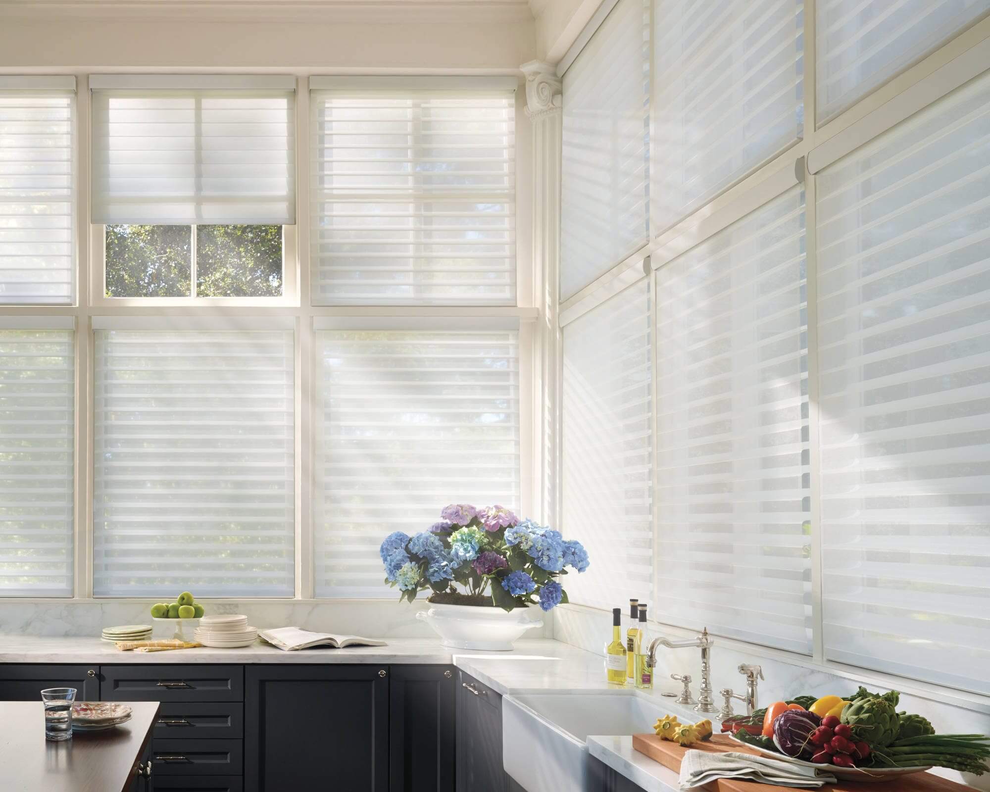 Insolroll Solar Shades with Battery wireless motors