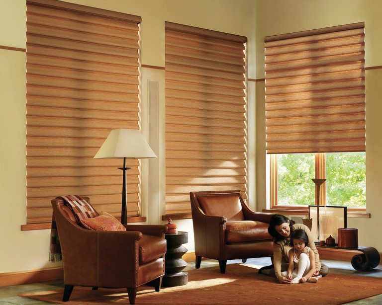 Vignette modern roman shades living room shades