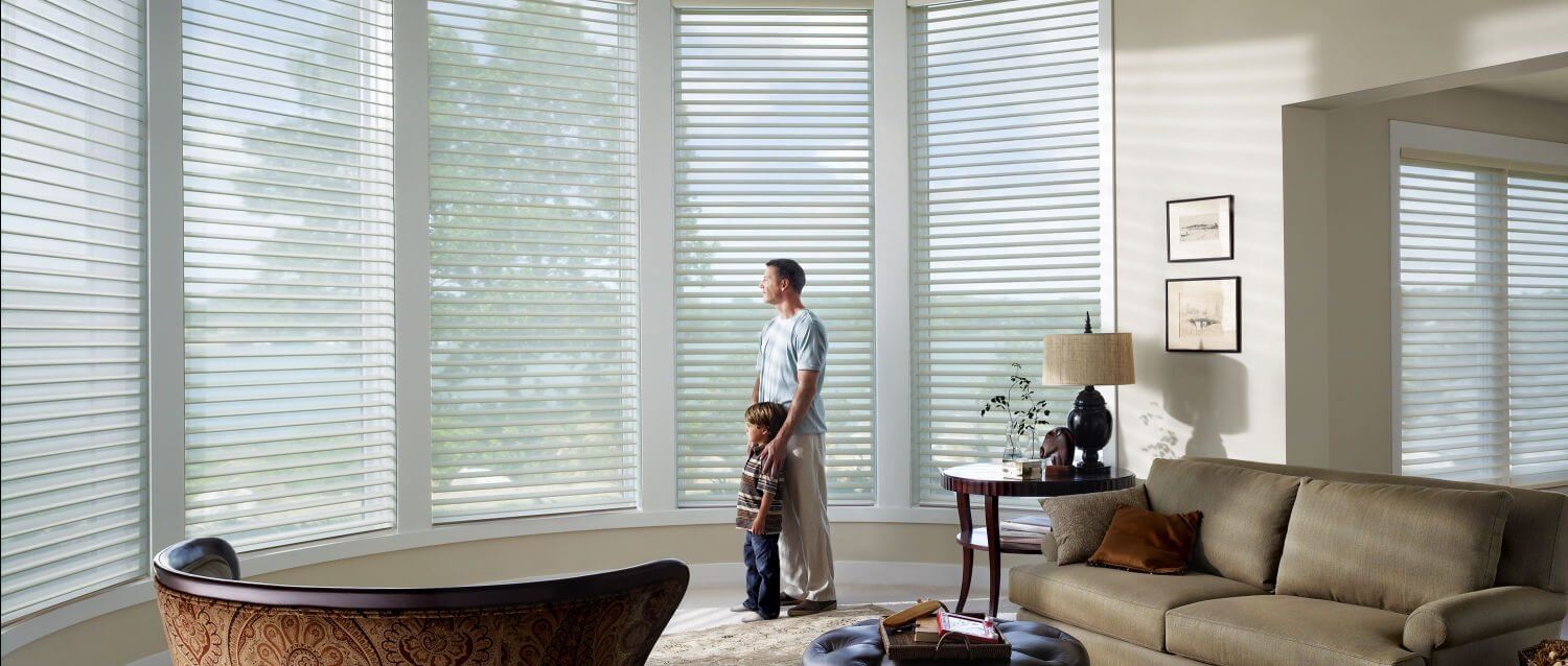 photo of Hunter Douglas Silhouette® Sheer Shades