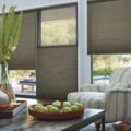 Duette honeycomb shades top down bottom up living room