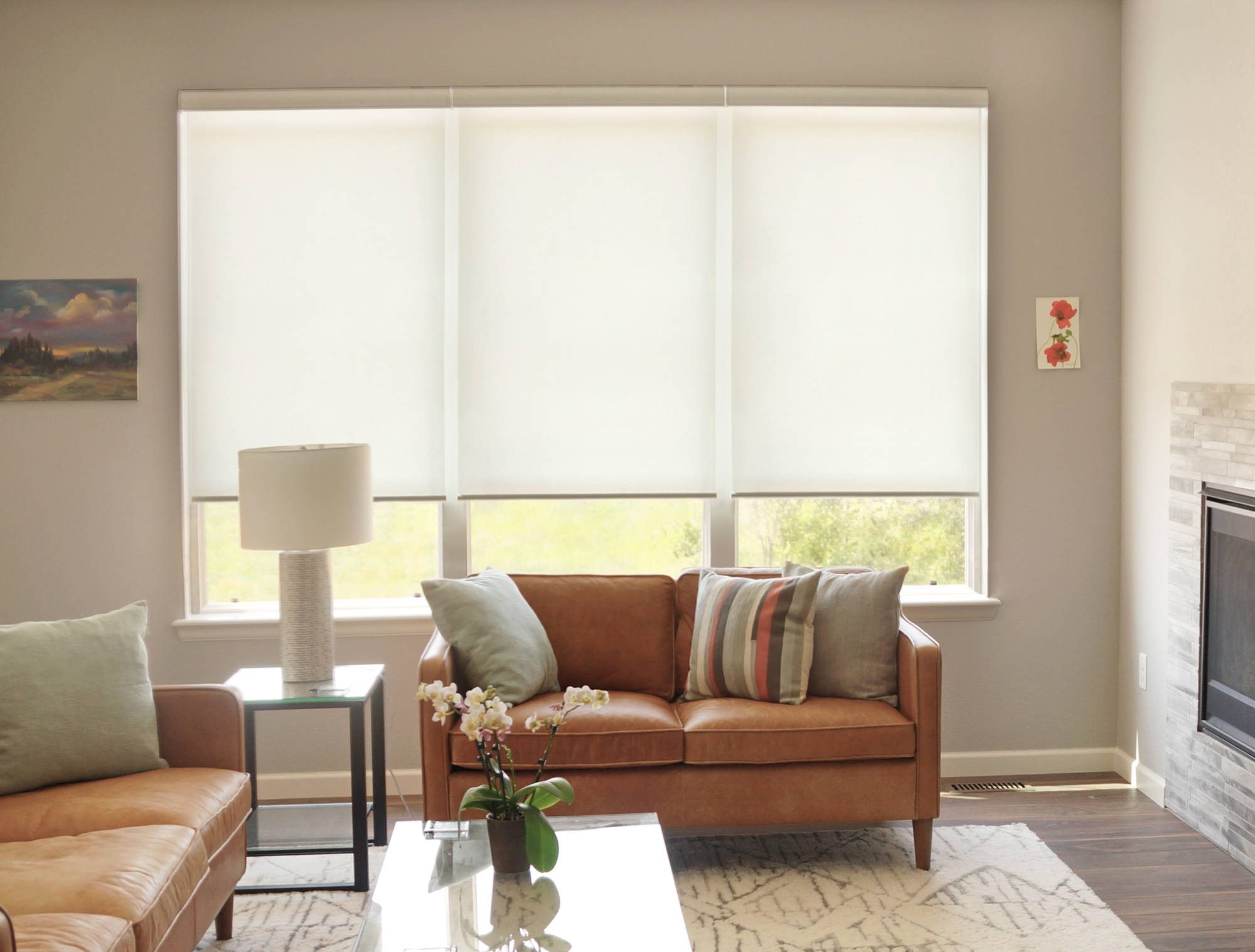 Insolroll Elements Roller Shades with translucent fabric