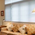 Insolroll Elements Translucent Shades Patina living room