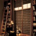 Vignette Alustra modern roman shades library