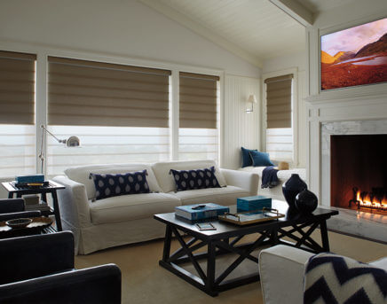 Hunter Douglas Vignette Modern Roman Shade