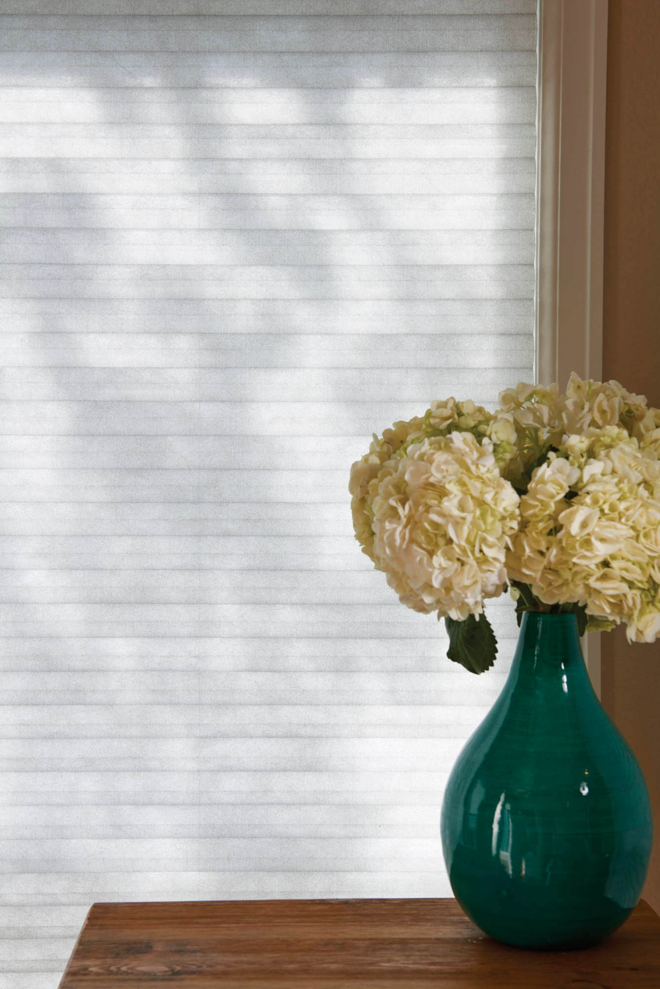 Duette & Applause Honeycomb closeup