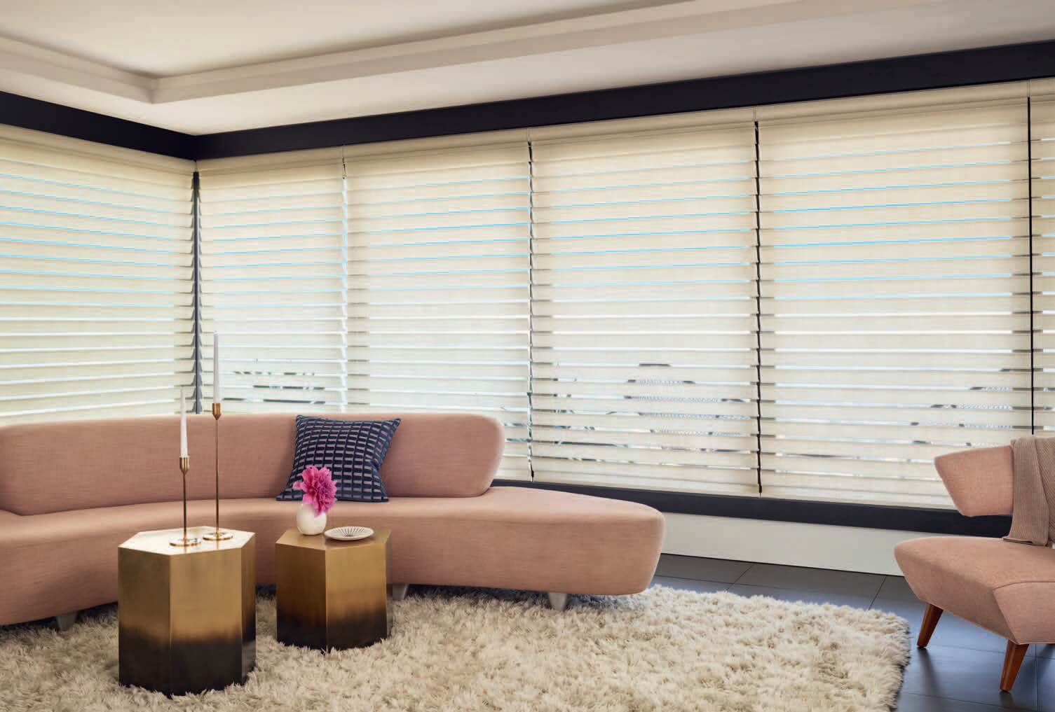 Hunter Douglas Silhouette Halo option