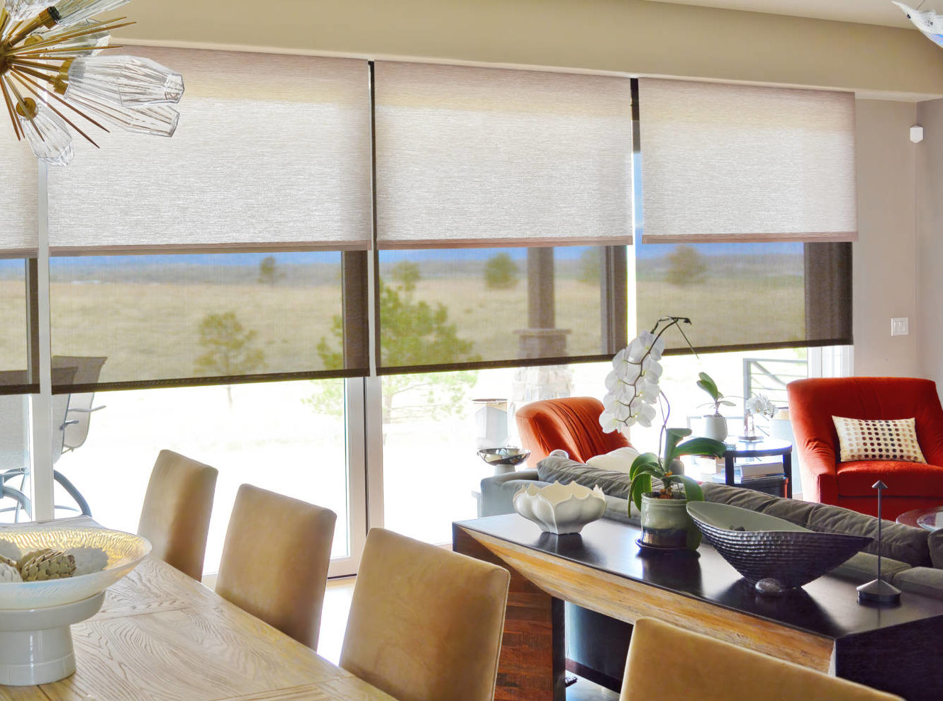 photo of Insolroll® Dual Fabric Shades