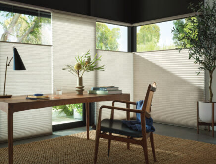 duette honeycomb shades top-down/bottom-up