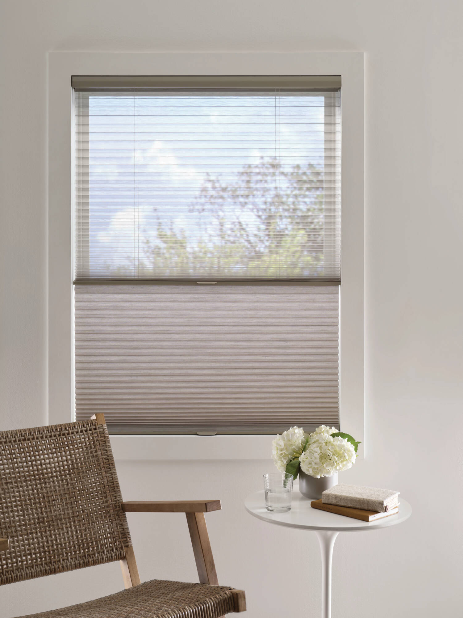 duette duolite with ClearView sheer fabric