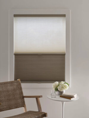 duette duolite with semisheer fabric