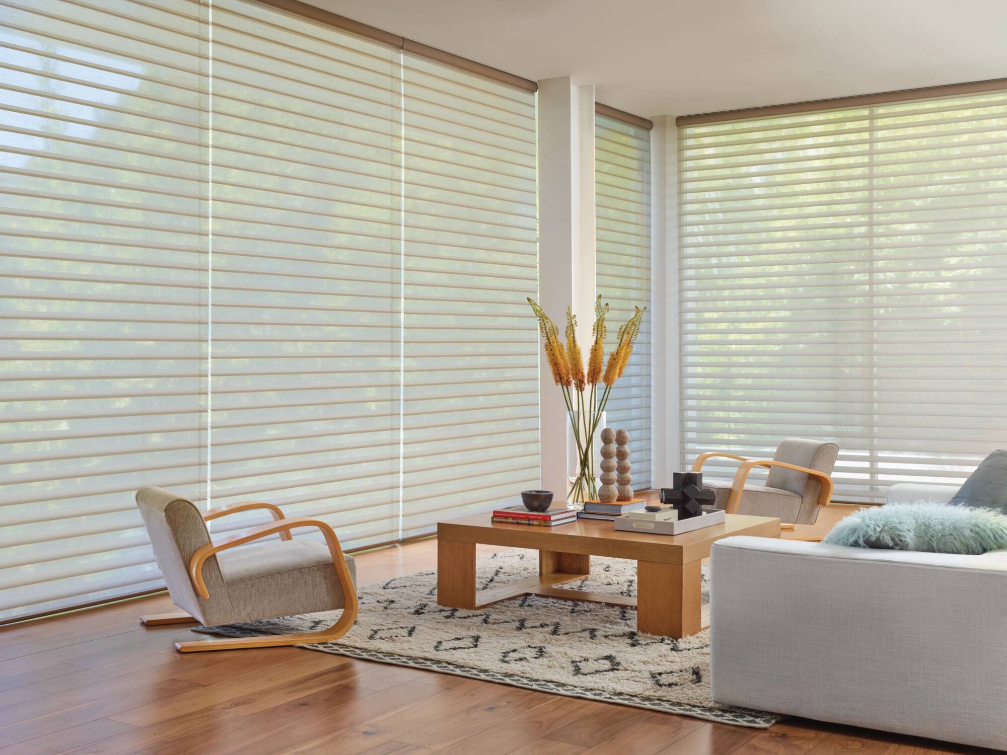 hunter douglas silhouette with powerview