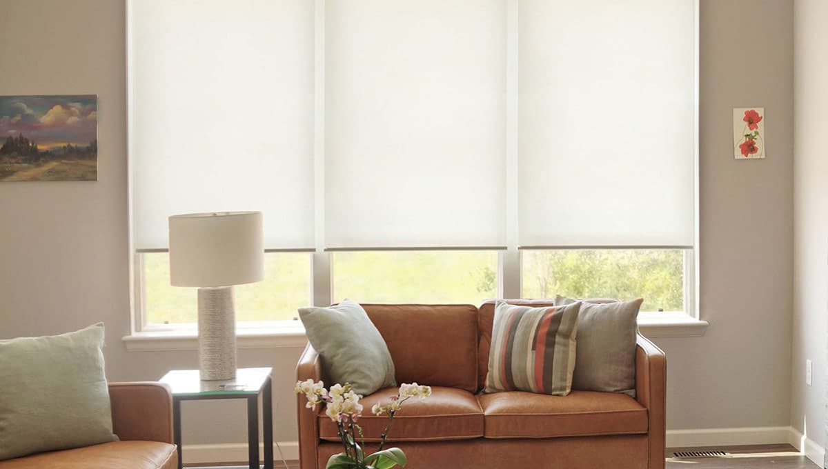 Insolroll Elements Roller Shades with translucent fabric