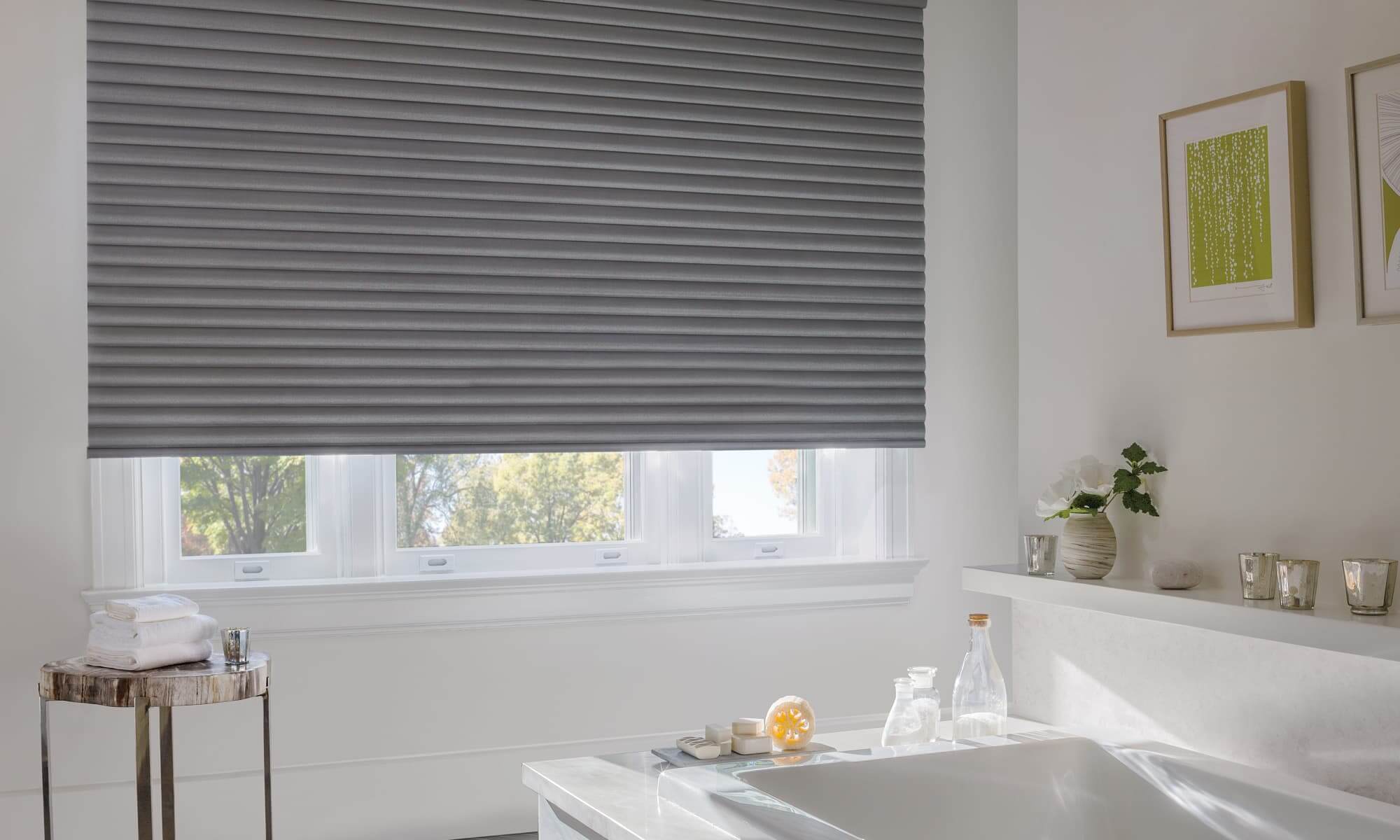 hunter douglas sonnette shades for privacy in bath room