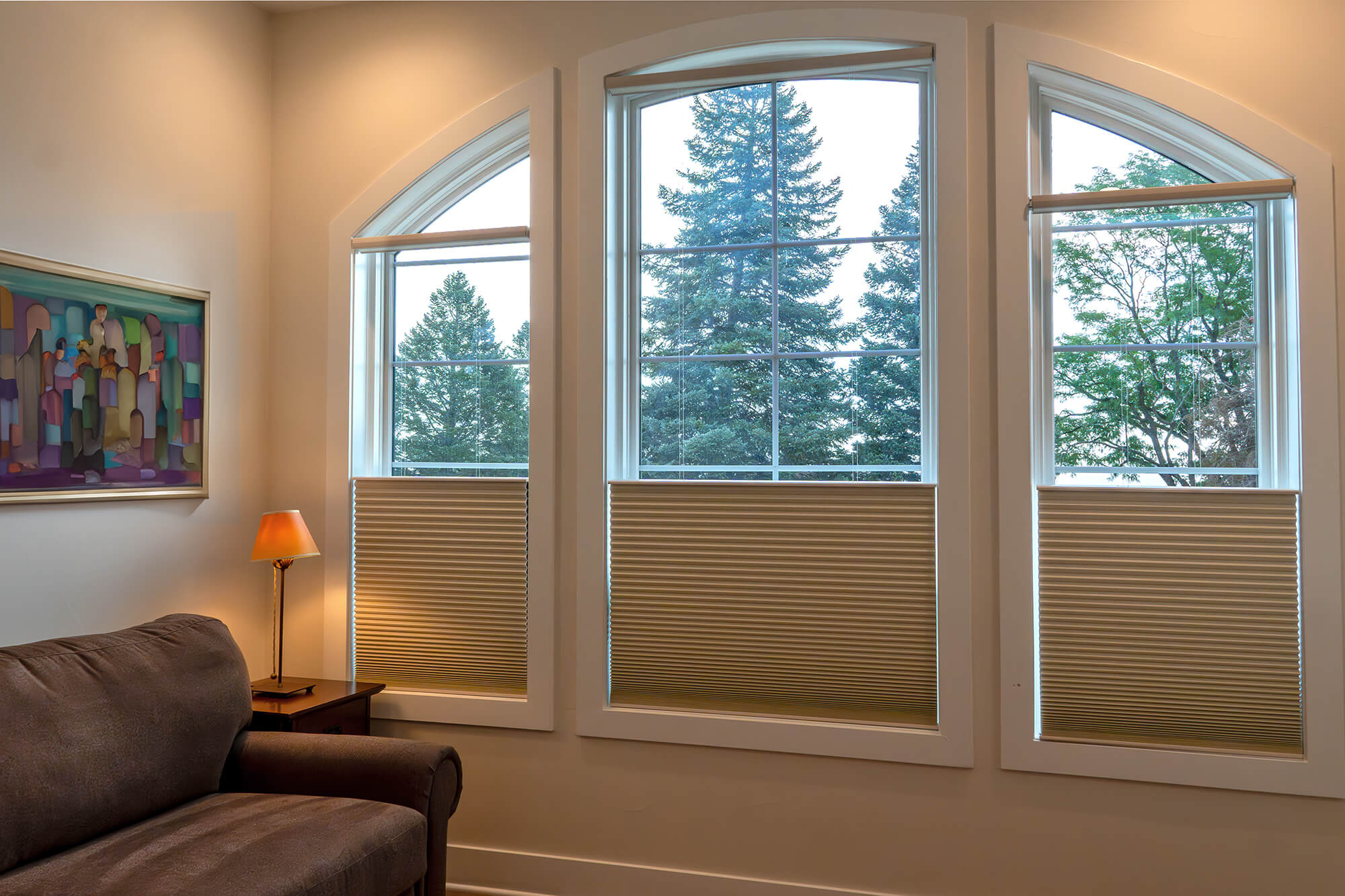 Boulder mountain pine tree view with Hunter Douglas Duette Top-down/Bottom-up honeycomb shades