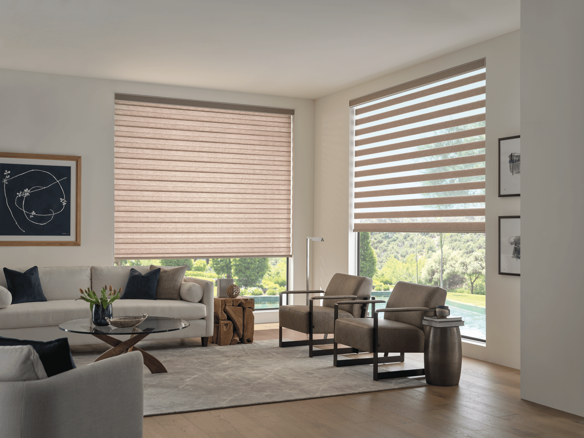 photo of Hunter Douglas Banded Zebra Shades