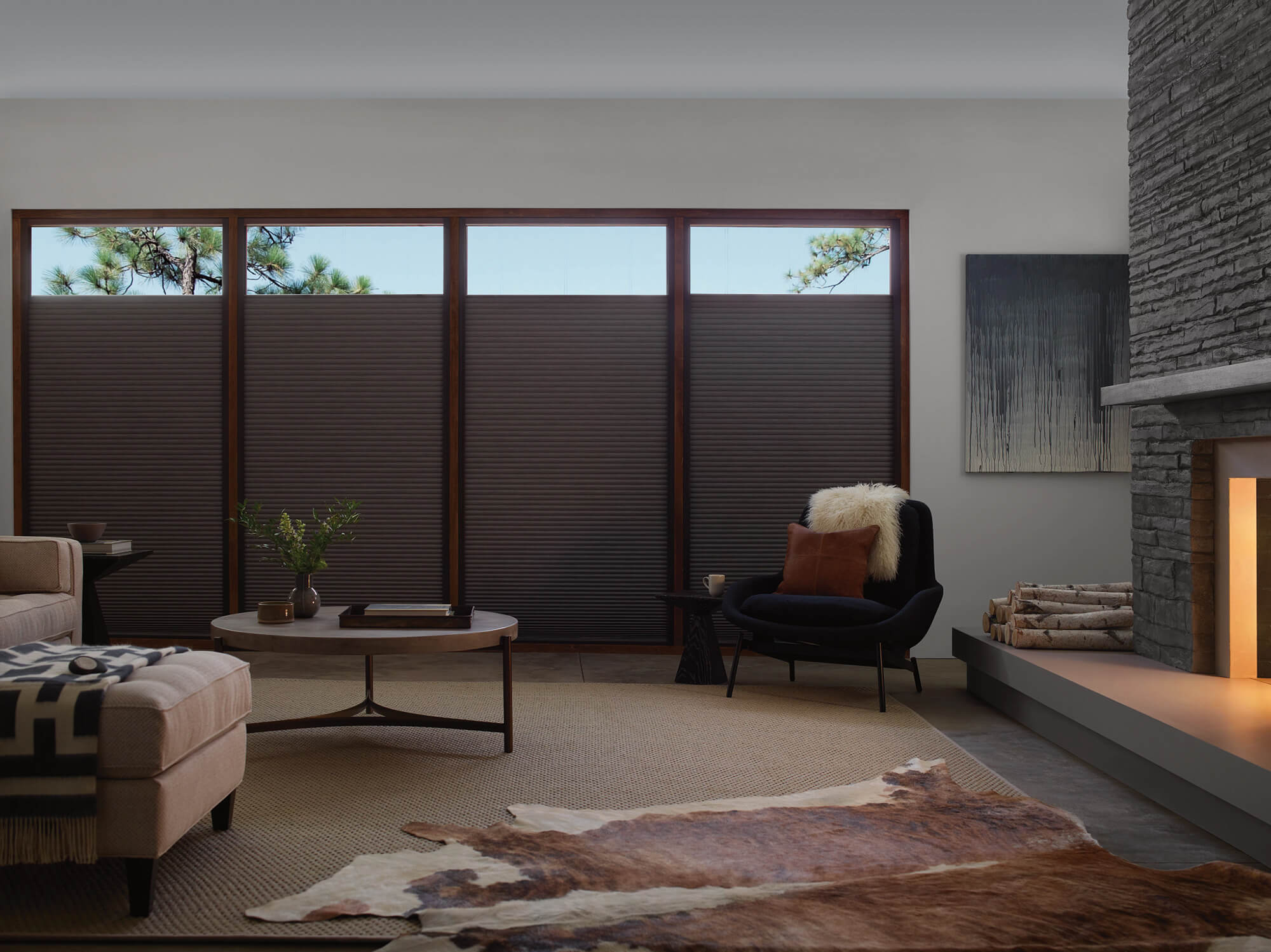 Duette Lightlock PowerView living room