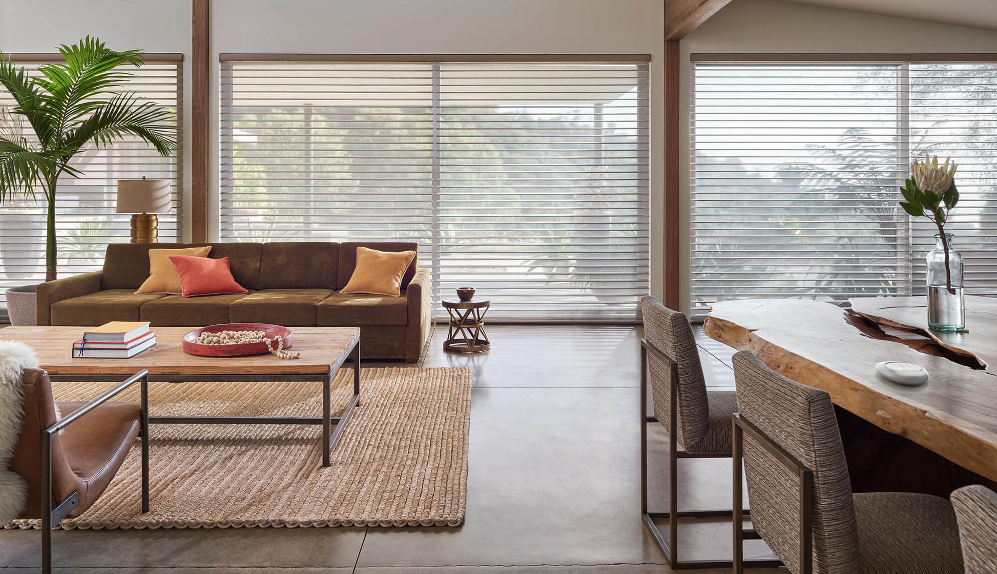 Alustra Pirouette PowerView living dining room