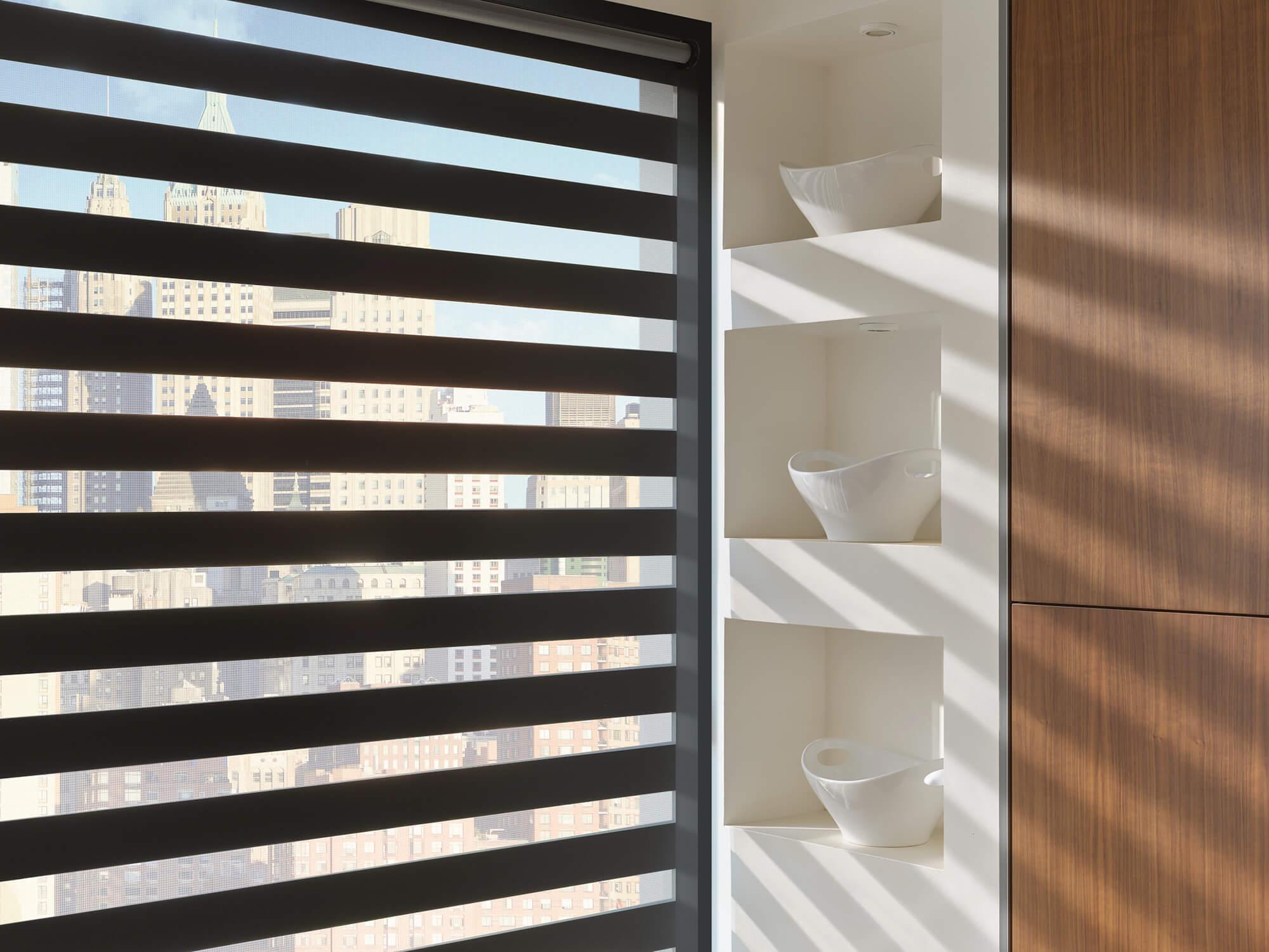Banded Shades PowerView city view